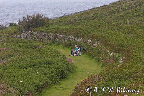 wybrzeże wyspy Guernsey, Channel Islands, Anglia, Wyspy Normandzkie, Kanał La Manche
