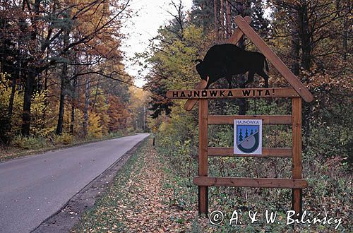 Hajnówka wita szyld, drogowskaz z herbem i żubrem