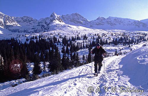 na Hali Gąsienicowej Tatry