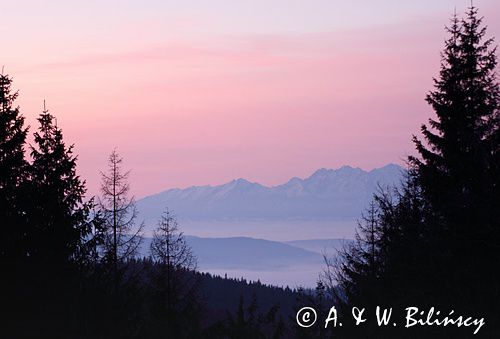 Hala Krupowa - widok na Tatry