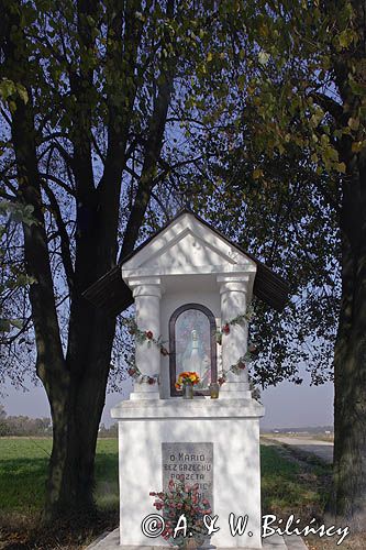 kapliczka przydrożna, wieś Halinówka / koło Kazimierza Dolnego/, Kazimierski Park Krajobrazowy