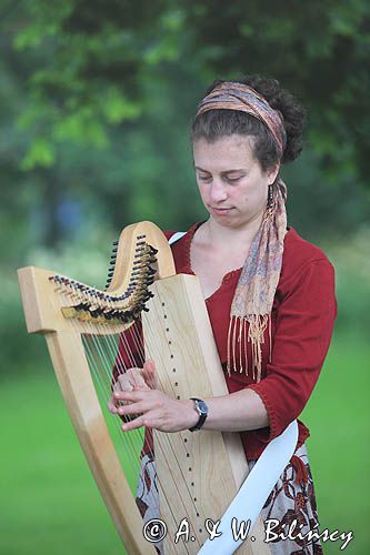 przenośna harfa, koncert na wyspie Norrbyskar, Szwecja, Zatoka Botnicka