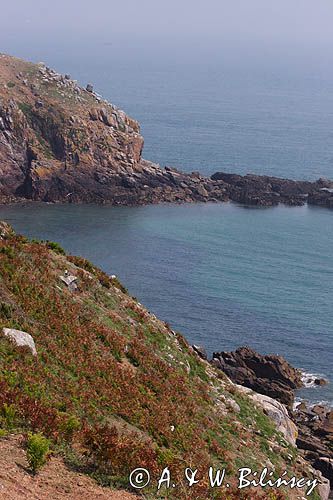 skaliste wybrzeże wyspy Herm, Channel Islands, Anglia, Wyspy Normandzkie, Kanał La Manche