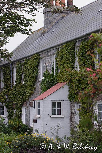 farma na wyspie Herm, Channel Islands, Anglia, Wyspy Normandzkie, Kanał La Manche