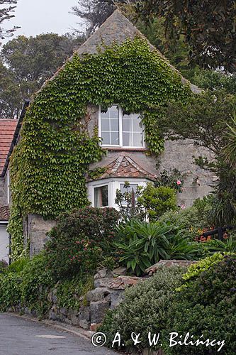 na wyspie Herm, Channel Islands, Anglia, Wyspy Normandzkie, Kanał La Manche