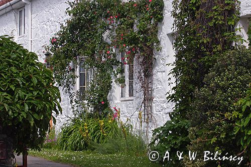 na wyspie Herm, Channel Islands, Anglia, Wyspy Normandzkie, Kanał La Manche