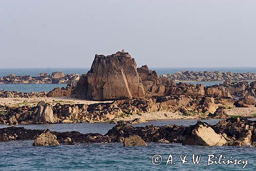 u wybrzeży wyspy Herm, Channel Islands, Anglia, Wyspy Normandzkie, Kanał La Manche