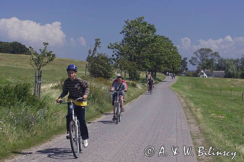 ścieżka rowerowa na wyspie Hiddensee, Bałtyk, Mecklenburg-Vorpommern, Niemcy