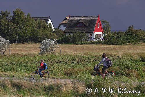 na scieżce rowerowej w Vitte na wyspie Hiddensee, Bałtyk, Mecklenburg-Vorpommern, Niemcy