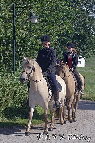 jazda konna, rajd konny na wyspie Hiddensee, Mecklenburg-Vorpommern, Niemcy