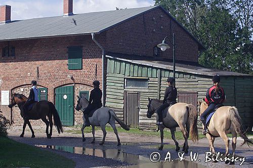 jazda konna, rajd konny na wyspie Hiddensee, Mecklenburg-Vorpommern, Niemcy