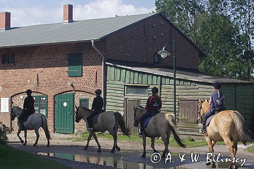 jazda konna, rajd konny na wyspie Hiddensee, Mecklenburg-Vorpommern, Niemcy