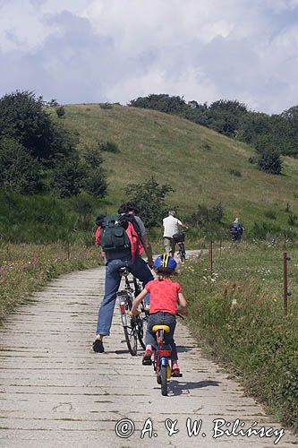 ścieżka rowerowa, wyspa Hiddensee, Mecklenburg-Vorpommern, Bałtyk, Niemcy