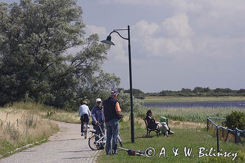 ścieżka rowerowa, wyspa Hiddensee, Mecklenburg-Vorpommern, Bałtyk, Niemcy