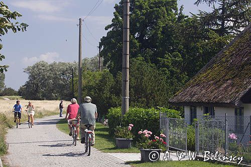 ścieżka rowerowa, wyspa Hiddensee, Mecklenburg-Vorpommern, Bałtyk, Niemcy