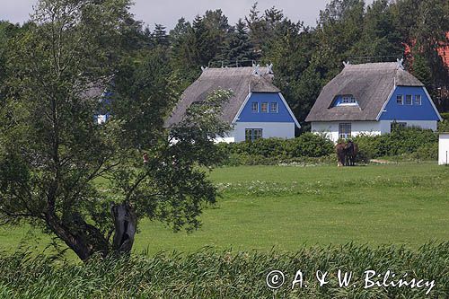 dom kryty strzechą w Kloster na wyspie Hiddensee, Mecklenburg-Vorpommern, Niemcy