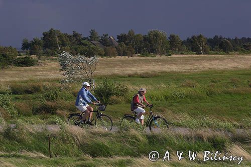 ścieżka rowerowa, Vitte, wyspa Hiddensee, Mecklenburg-Vorpommern, Bałtyk, Niemcy