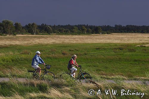 ścieżka rowerowa, Vitte, wyspa Hiddensee, Mecklenburg-Vorpommern, Bałtyk, Niemcy