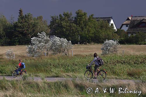 ścieżka rowerowa, Vitte, wyspa Hiddensee, Mecklenburg-Vorpommern, Bałtyk, Niemcy