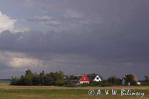 domy na skraju Vitte, wyspa Hiddensee, Mecklenburg-Vorpommern, Bałtyk, Niemcy