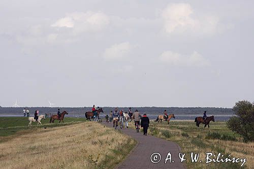ścieżka rowerowa i rajd konny, wyspa Hiddensee, Mecklenburg-Vorpommern, Bałtyk, Niemcy
