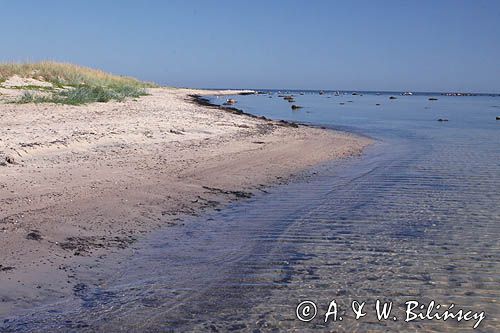 wyspa Hiuma, Hiiumaa, piaszczysta plaża w Lehtma, Estonia Hiiumaa Island, sandy beach near Lehtma, Estonia