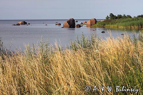 wyspa Hiuma, Hiiumaa, wybrzeże koło Suursadam, Estonia Hiiumaa Island, Suursadam, Estonia