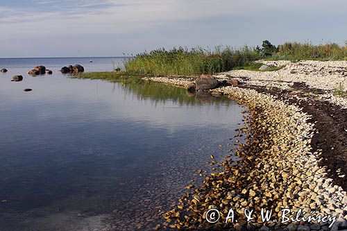 wyspa Hiuma, Hiiumaa, wybrzeże koło Suursadam, Estonia Hiiumaa Island, Suursadam, Estonia