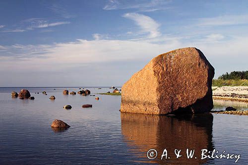 wyspa Hiuma, Hiiumaa, wybrzeże koło Suursadam, Estonia Hiiumaa Island, Suursadam, Estonia