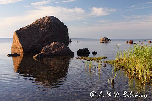 wyspa Hiuma, Hiiumaa, wybrzeże koło Suursadam, Estonia Hiiumaa Island, Suursadam, Estonia