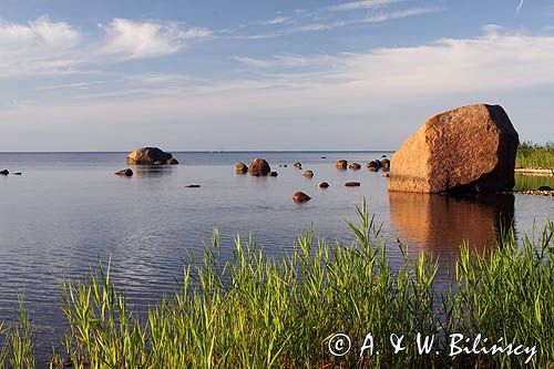 wyspa Hiuma, Hiiumaa, wybrzeże koło Suursadam, Estonia Hiiumaa Island, Suursadam, Estonia