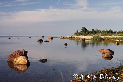 wyspa Hiuma, Hiiumaa, wybrzeże koło Suursadam, Estonia Hiiumaa Island, Suursadam, Estonia