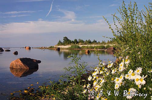 wyspa Hiuma, Hiiumaa, wybrzeże koło Suursadam, Estonia Hiiumaa Island, Suursadam, Estonia