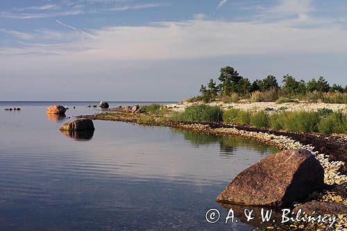 wyspa Hiuma, Hiiumaa, wybrzeże koło Suursadam, Estonia Hiiumaa Island, Suursadam, Estonia