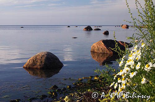 wyspa Hiuma, Hiiumaa, wybrzeże koło Suursadam, Estonia Hiiumaa Island, Suursadam, Estonia