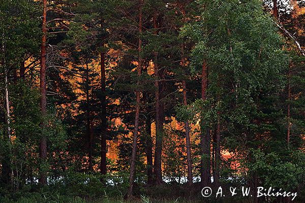Zachód słońca na jeziorze Vattern, Weter, Hjortholmarna, Szwecja