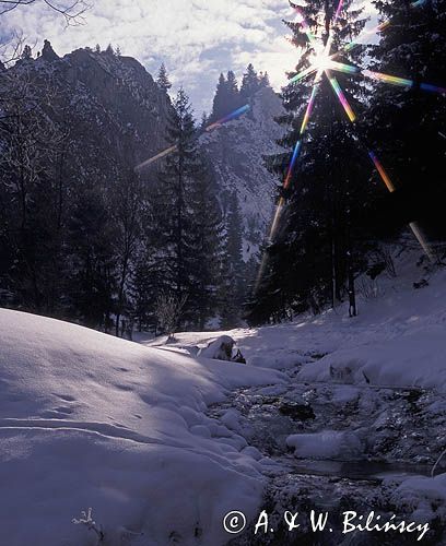 Małe Pieniny rezerwat Wąwóz Homole