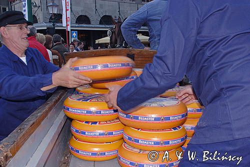 targ serowy w Hoorn, Holandia, Kaasmarkt, Cheesemarket, ładowanie sera na bryczkę