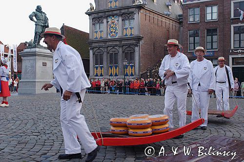 targ serowy w Hoorn, Holandia, Kaasmarkt, Cheesemarket, noszenie sera, przedstawiciele Cechu Kaasbagers Gilde