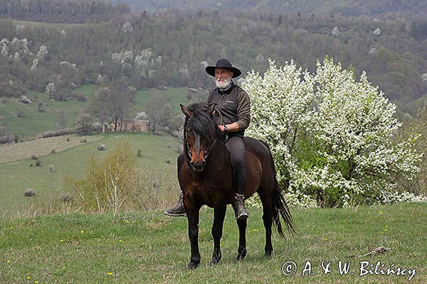 Na Krywem, Stadnina Koni Huculskich Tabun, Bieszczady