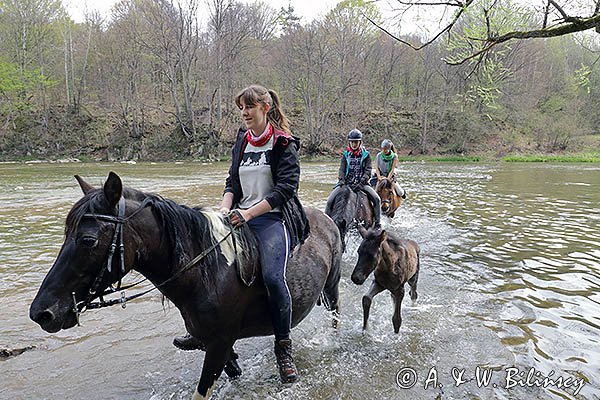 W Sanie, rajd konny, Stadnina Koni Huculskich Tabun, Bieszczady