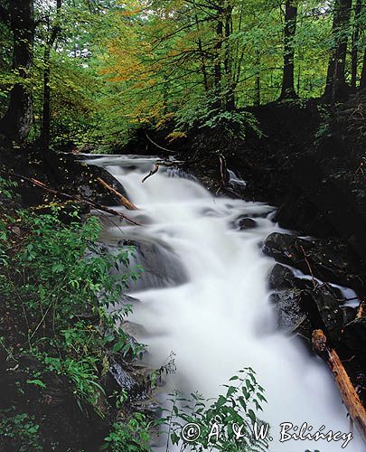 potok Hylaty wodospad największy w Bieszczadach, Park Krajobrazowy Doliny Sanu