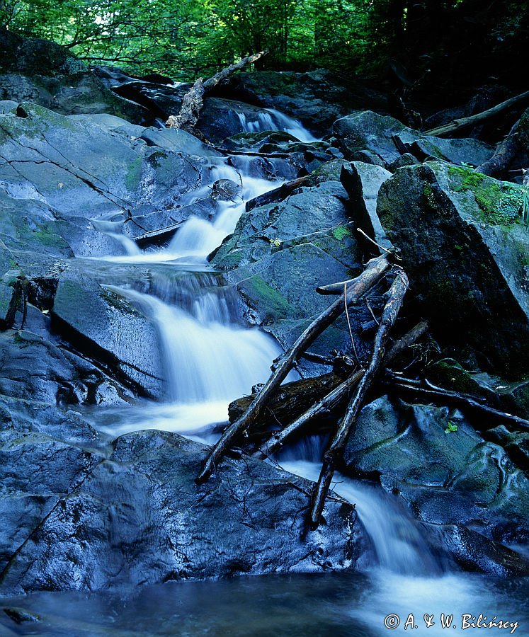 potok Hylaty Bieszczady