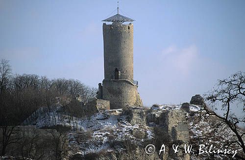 Iłża, ruiny zamku