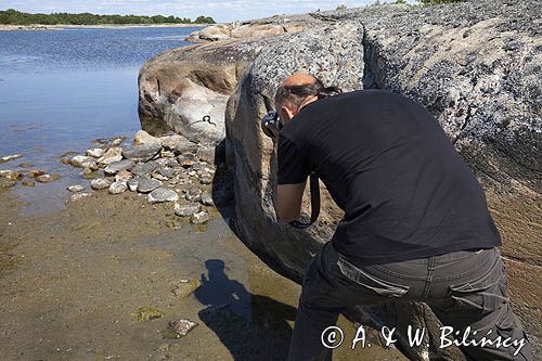 Na wyspie Isokari, Finlandia, Zatoka Botnicka, Archipelag Turku