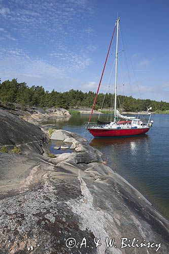 Safran, Trismus 37, Wyspa Iso Kaskinen, Archipelag Turku, Finlandia