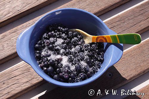 jagody z cukrem, Vaccinium myrtillus blueberrys with sugar