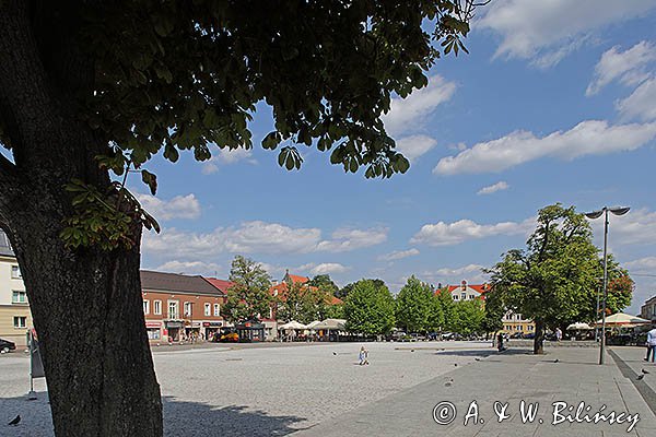 Jasło, Rynek