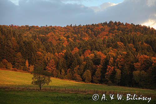 jesień Jaworniki Bieszczady