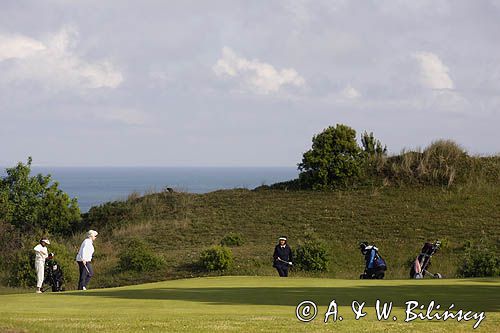 pole golfowe na wyspie Jersey, Channel Islands, Anglia, Wyspy Normandzkie, Kanał La Manche